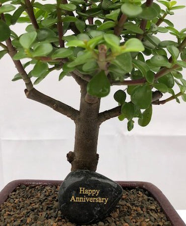 Personalized Skipping Stone"Happy Anniversary"